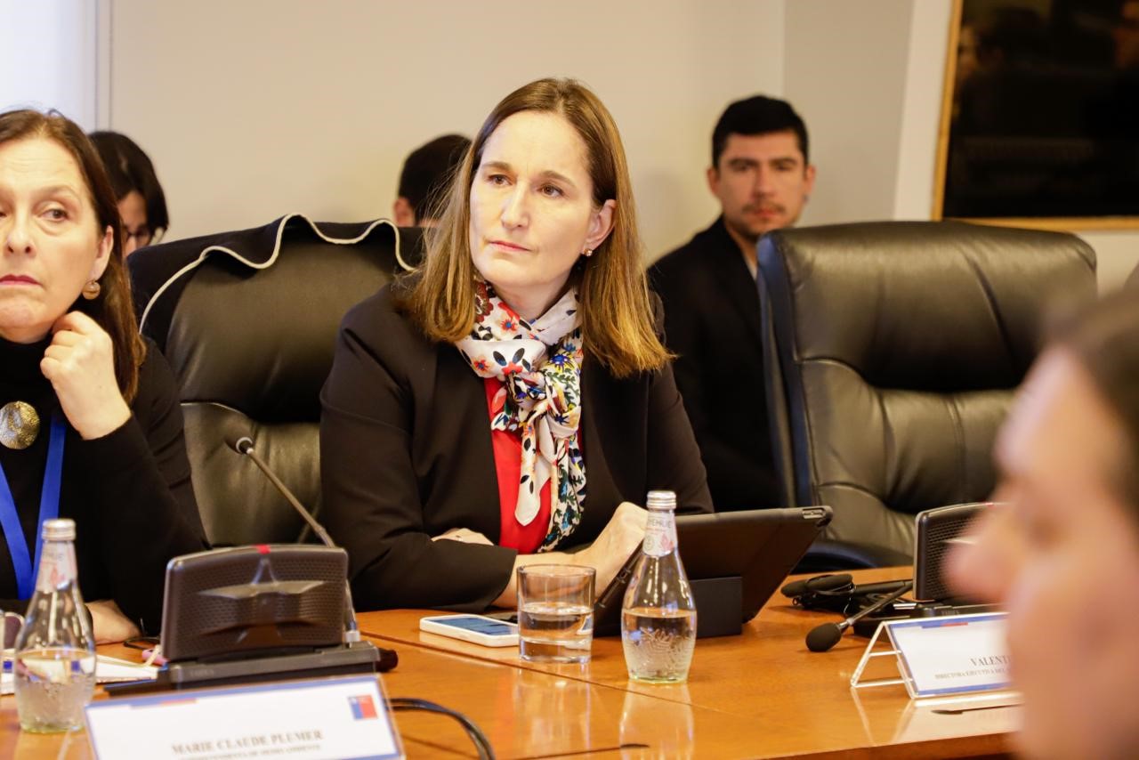Directora Ejecutiva del SEA, Valentina Durán