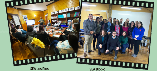 Viaje directora ejecutiva del SEA a Valdivia y Concepción