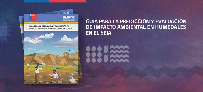 Guía predicción y evaluación de impacto ambiental en humedales en el SEIA