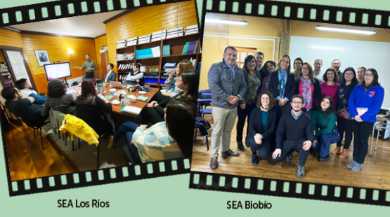Viaje directora ejecutiva del SEA a Valdivia y Concepción