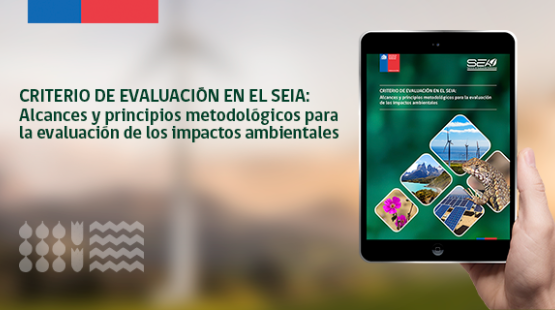 riterio de evaluación en el SEIA: Alcances y principios metodológicos para la evaluación de los impactos ambientales.