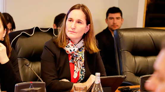 Directora Valentina Durán en la OCDE