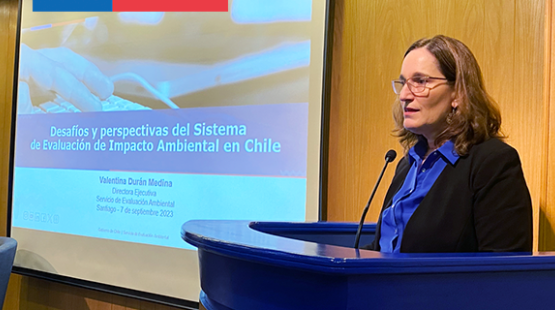 Directora Valentina Durán exponiendo en la Cámara Oficial Española de Comercio en Chile.