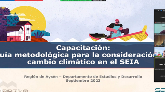 Capacitación Comité Técnico Región de Aysén