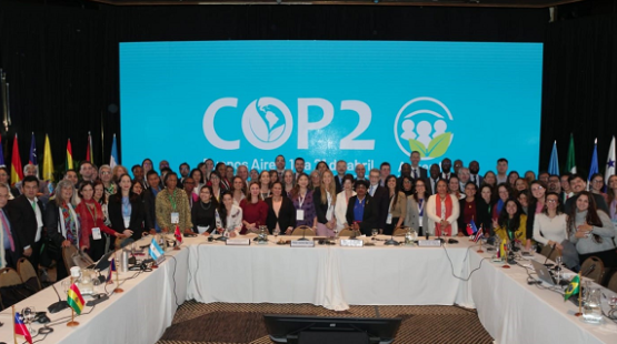 Plenario Escazú COP2