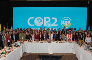 Plenario Escazú COP2